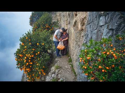 Harvesting Oranges on a Dangerous 45 Cliff A 4 km Mountain