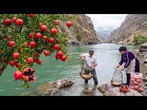 He Climbed Dangerous Mountains for Wild Pomegranates She