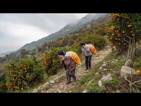 Elderly Couple s 10 km TREK with 50 kg of Tangerines on