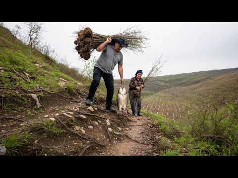 Grandpa Plants 200 Fruit Trees in the Dangerous Mountains