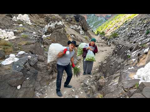 An Elderly Man Risks His Life on the Mountain to Cook