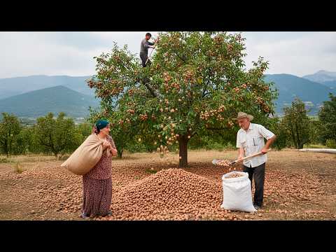 From Forest to Table Elderly Couple Collects 200 kg of