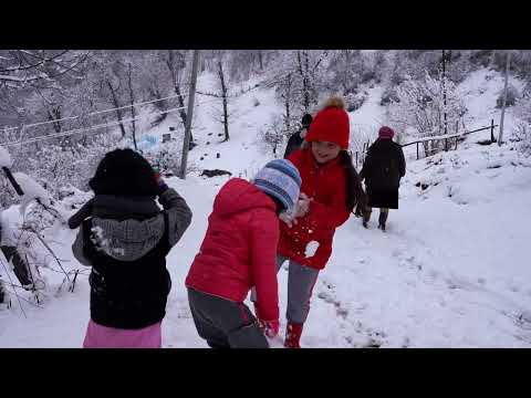 When Snow Buried Our Village We Foraged Wild Nettles and