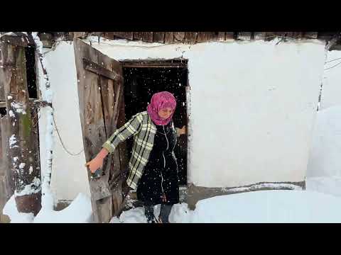 1 Meter Snowfall in Mountain Village 7Days Without Food
