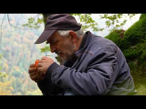 Grandpa Who Climbs Dangerous Mountains to Harvest