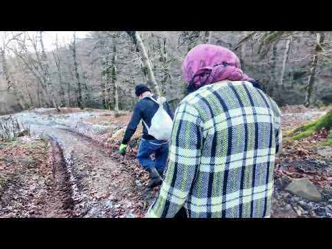 In Freezing Snowy Weather Grandparents Harvest Mushrooms