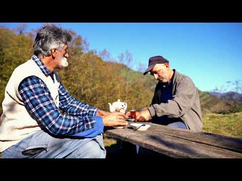 Grandpa Collects Wild Medlar on Deadly Cliffs to Make