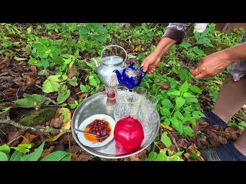 From Forest to Table Elderly Couple Collects 200 kg of