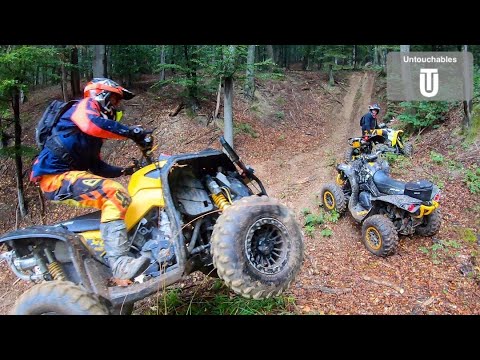 Exploring New Routes Having Fun In a Foggy Forest