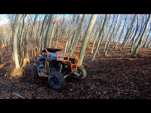 Polaris RZR Crashes Backwards Into A Tree Iesire