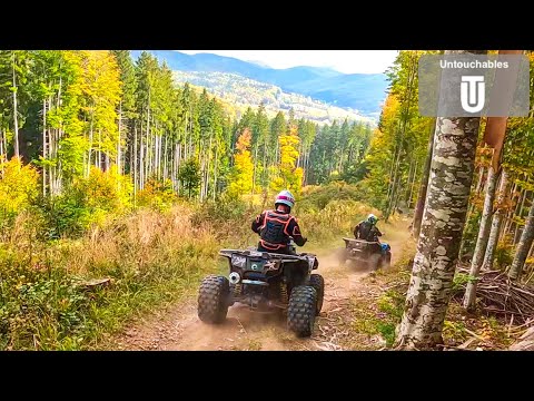 Crazy Ride In Awesome Nature Yellowstone Feeling