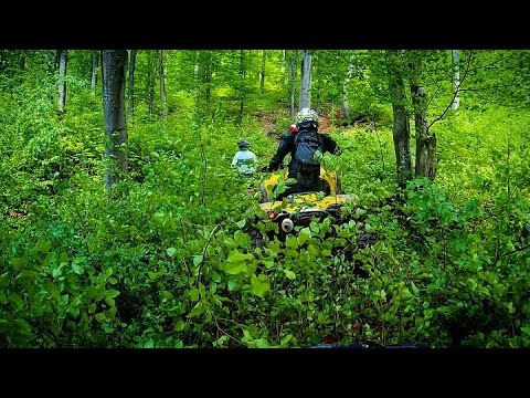 Risky Rides In Deep Forest Can Am Polaris Yamaha Suzuki