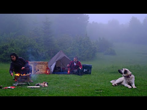 Köpeğimiz ile En Huzurlu Kampımız Kampı İnekler Bastı Batak