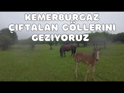 Kemerburgaz Gölleri Çöp İçinde Yılkı Atlarını Gördük Zorlu
