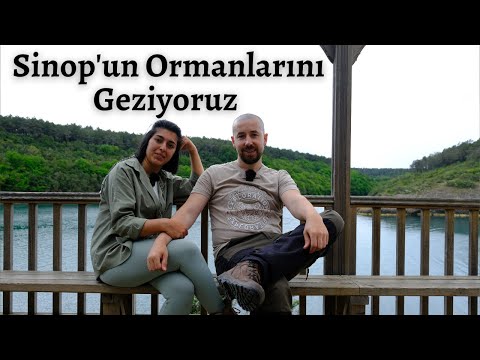 Sinop un Eşsiz Ormanlarını Geziyoruz Sürdürülebilir