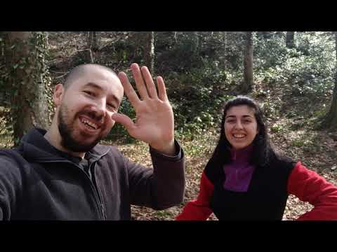 Caretta lı Dostlarla Kampta Buluştuk Yazı Anımsatan Bir
