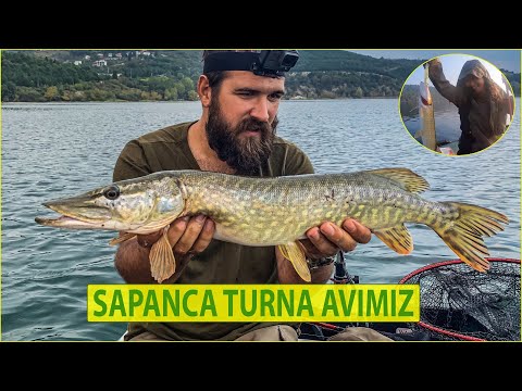 Sapanca Turna Avı Pike Fishing