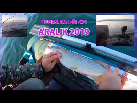 Sapanca Gölü Turna Avı Sezona Veda