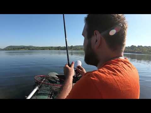 Karavanda Sabah Davetsiz Misafire Uyandık Carp Fishing