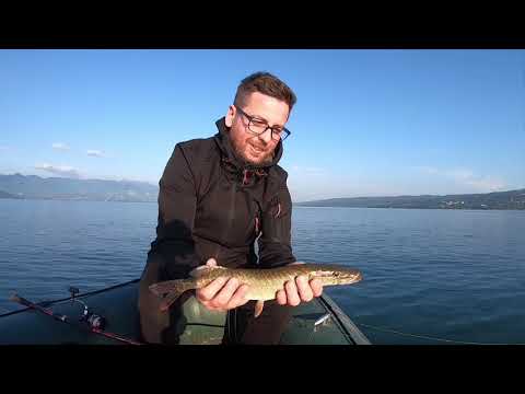 LRF İLE SAPANCA GÖLÜ TURNA AVI Pike Fishing