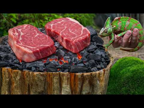 Steak on a Salt Block in the Forest With a Chameleon