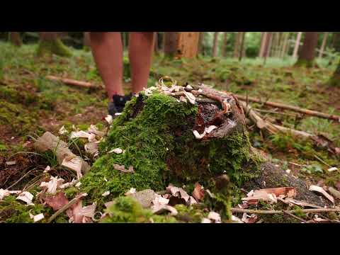 Rustic Rib Recipe with Wild Herbs and Forest Smoker