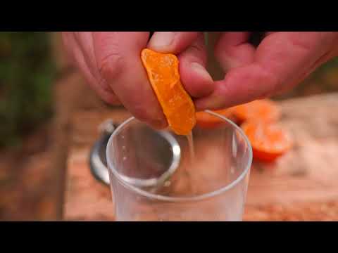 Ribeye Steak on Hot Stone Bushcraft Cooking with Garlic