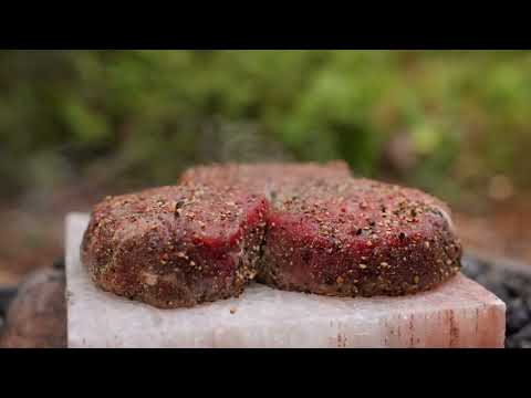 Steak on a Salt Block in the Forest With a Chameleon