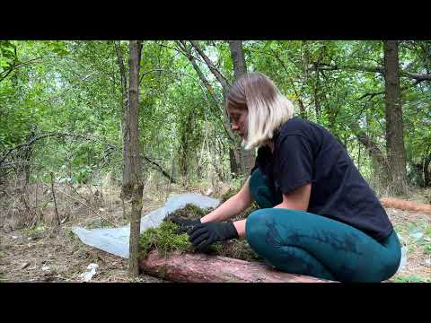Deep in the Forest Building a Shelter and Cooking Over Fire