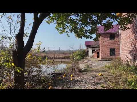 People Hidden on the Isolated Island China s Lost World