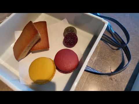 Janu Tokyo New Luxury 5 Star Hotel in Azabudai Hills Japan