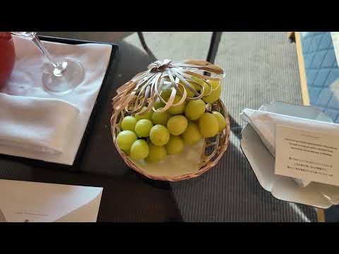 Park Hyatt Kyoto Luxury 5 Star Hotel in Japan 4K Tour Vlog
