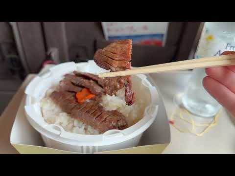 Riding Japan s Fastest Shinkansen Bullet Train First