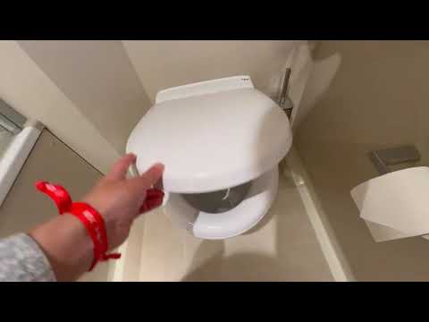 MSC World America Cruise Ship 2025 Sailing from Miami to