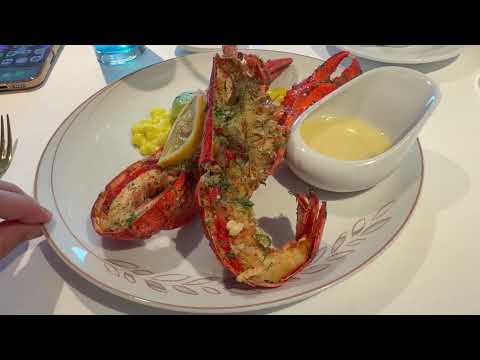 AROYA Saudi Arabia s First Cruise Ship Jeddah to Yanbu 4K