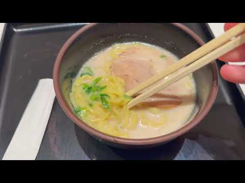ANA Business Class THE ROOM 777 300ER Flight Review Tokyo