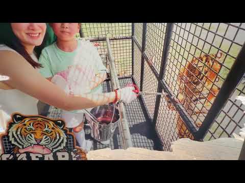 Safari World Bangkok Thailand s Best Zoo Animal Park Full