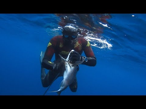 Spearfishing The ISLAND of the APOCALYPSE vol 2 Ψαροτούφεκο