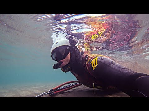 Solo Spearfishing For The Best Winter Fish Sea Βass Catch