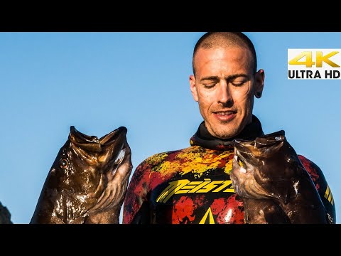 Spearfishing The MOST WANTED Fish In Greece