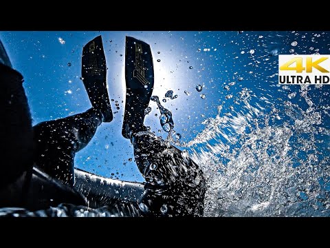 Spearfishing HOLD YOUR BREATH EAT WHAT YOU CATCH