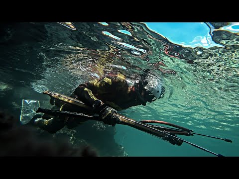 Spearfishing Dark Waters Searching For Fanged Predators