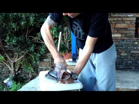 Spearfishing How to Gut a Grouper in 45s