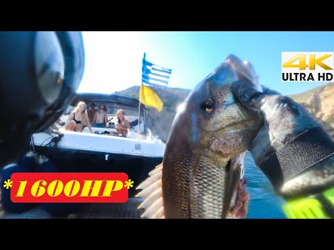 Spearfishing A FAST TRIP FOR DENTEX 1600HP BOAT