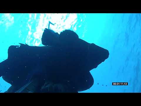 Spearfishing Before the Winter Ψαροτούφεκο Πριν μπει ο