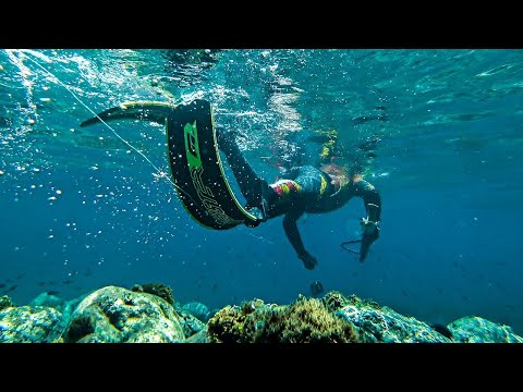 Spearfishing The Bay of Serenity