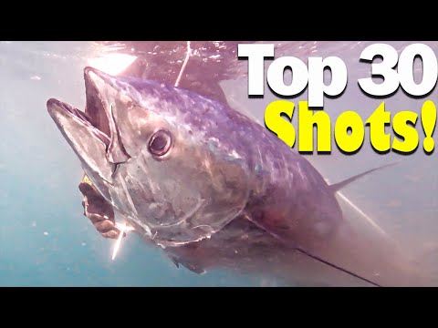 Top 30 SHOTS Compilation Spearfishing MASTERPIECE