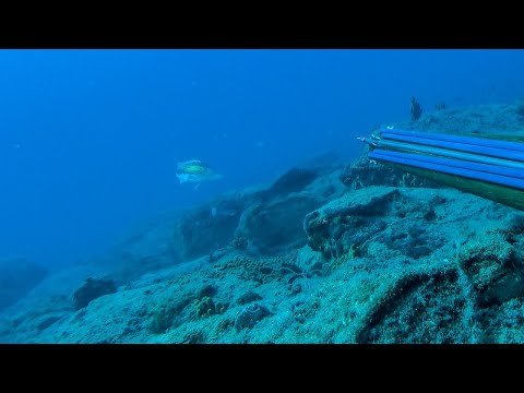 You Don t See This Everyday Impossible Shot Spearfishing