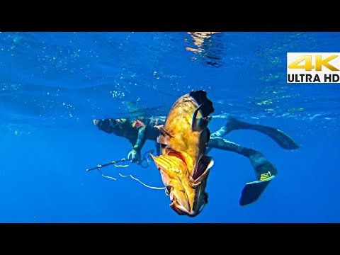 NO SPEARGUN NEEDED Pole Spearfishing In Greece