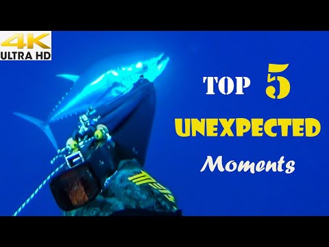 Top 5 UNEXPECTED Moments CAUGHT on CAMERA